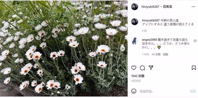 又一演員弔死身亡,最後一部恐怖片被推上熱搜,更詭異的還在後面