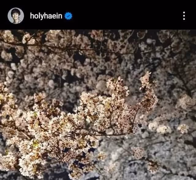 智秀-丁海寅戀愛傳聞再起?是地下戀嗎;IVE為何大部分是媽媽粉?
