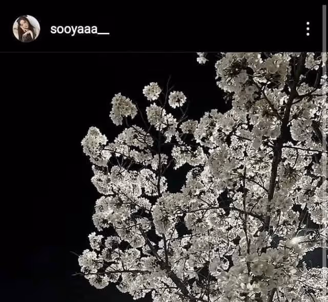 智秀-丁海寅戀愛傳聞再起?是地下戀嗎;IVE為何大部分是媽媽粉?