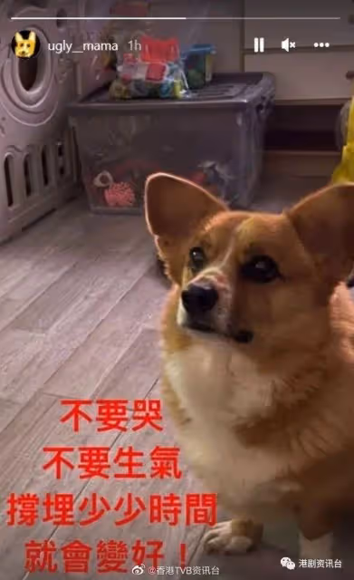 湯洛雯35歲生日！閨密團大搞酒店派對送靚花