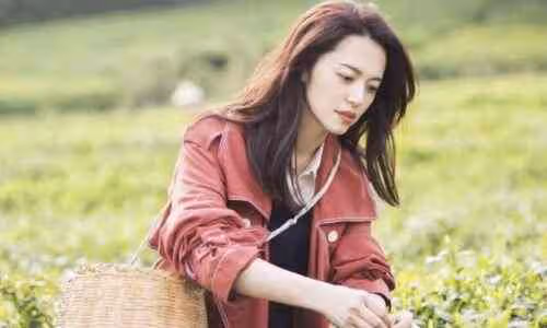 姚晨個人資料前任老公是誰 她的現任老公是誰