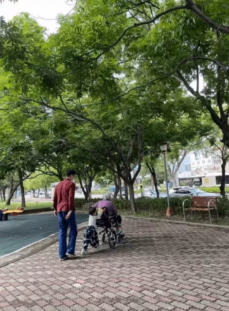明道不受張庭夫婦影響？回臺「盡孝陪母親」公園散步，2歲兒幫推輪椅好暖心，網友：陪伴就是最好的孝順
