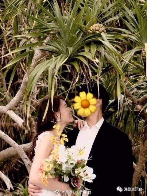 恭喜恭喜!TVB小生宣布結婚,老婆居然是日本演員