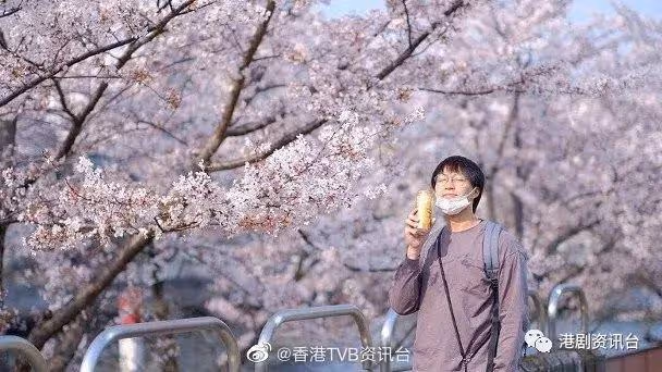 恭喜恭喜!TVB小生宣布結婚,老婆居然是日本演員