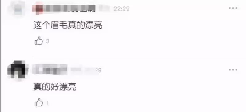 明星證件照曝光：景甜靠細眉出圈， 張柏芝素顏楚楚動人，楊冪前後差距大