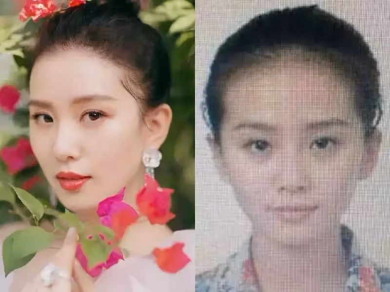 明星證件照曝光：景甜靠細眉出圈， 張柏芝素顏楚楚動人，楊冪前後差距大
