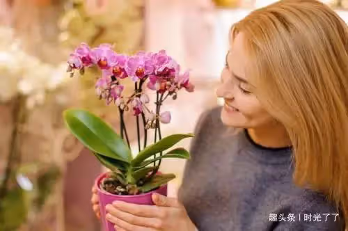 「女兒,把彩禮漲到三十萬,正好給你弟買輛車」「媽,他退婚了」