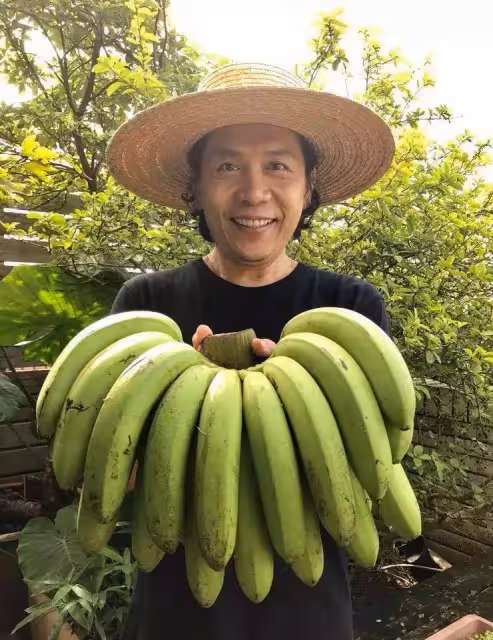 56歲許傑輝珍惜老婆不生小孩「樓頂變菜園自種自吃」當城市農夫,自歎「不僅僅是為吃菜」:是一種慰藉也是一種修行