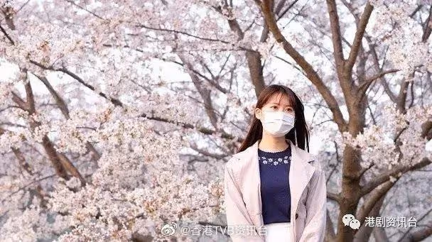 TVB男星娶日本女優疑奉子成婚！緋聞女友Aka送祝福