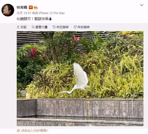 退休生活好愜意,林青霞自曝婚姻狀況「富豪老公送奢華書房」常寫字畫畫 安享晚年:在豪宅陪小孫女為樂