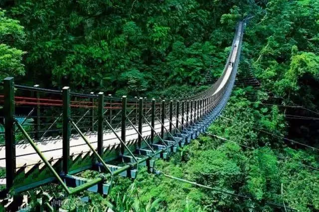 男大生畢業當兵後從銀行舉債1500萬後,跑到南投深山中住了一年,改造百年三合院,成「台灣最美民宿」