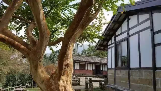 男大生畢業當兵後從銀行舉債1500萬後,跑到南投深山中住了一年,改造百年三合院,成「台灣最美民宿」