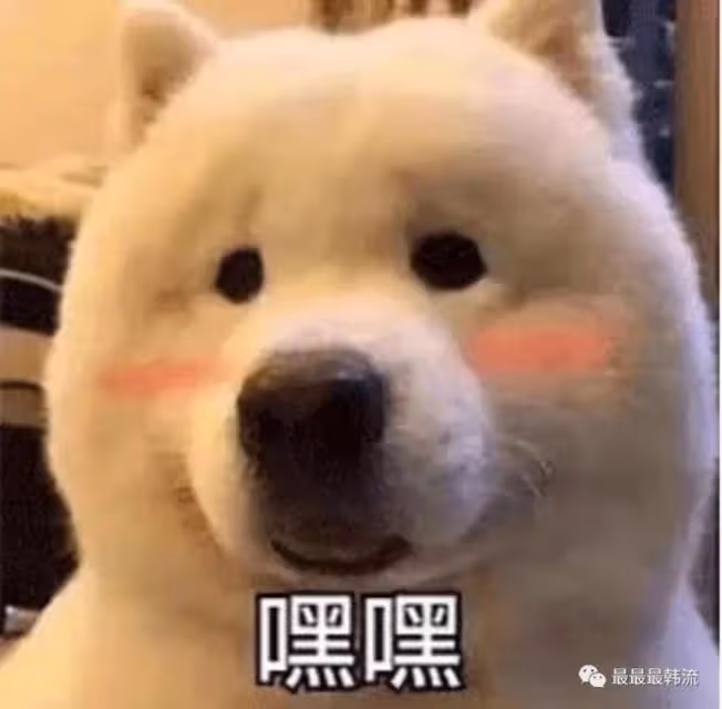 這是換了個頭嗎…