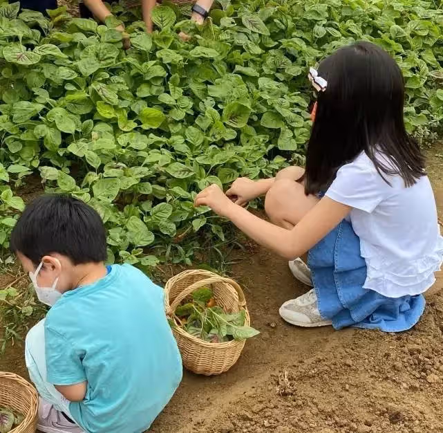 梁詠琪女兒近照曝光~超立體混血五官「牙齒不齊也不影響顏值」 「彈奏媽媽舊日情歌」全網贊翻❤