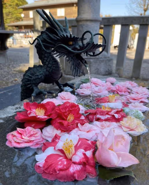 菅田將暉和小松菜奈秘密完婚，媒體猜測婚禮舉辦場所是函館八幡宮