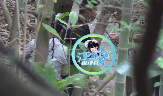 鞠婧禕拍戲遭陌生男偷拍!場務將其綁樹上教訓,現場起衝突引爭議