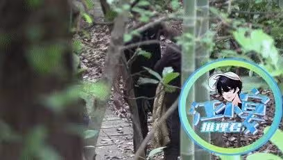 鞠婧禕拍戲遭陌生男偷拍!場務將其綁樹上教訓,現場起衝突引爭議