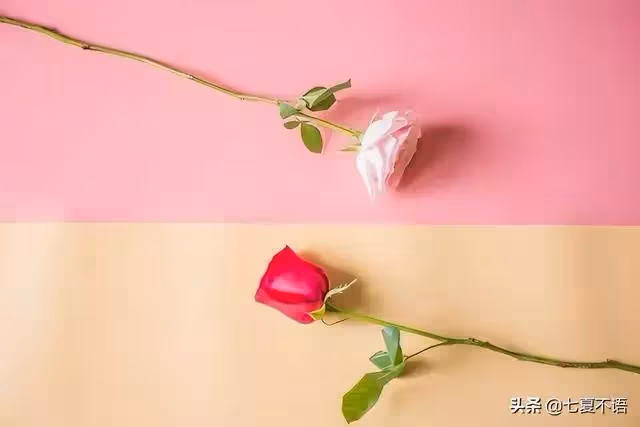 女兒離異跟娘家斷交,母親淚崩:拿女兒彩禮給兒買房,我坑了女兒