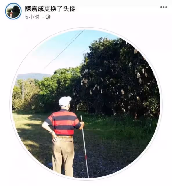 90歲資深藝人陳炳楠因病離世,生前遺言曝光「下臺一鞠躬」眾星哀悼:一路走好