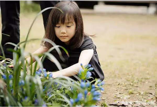 「天才童星」蘆田愛菜6歲身價超過千萬 現如今升入大學讀醫學
