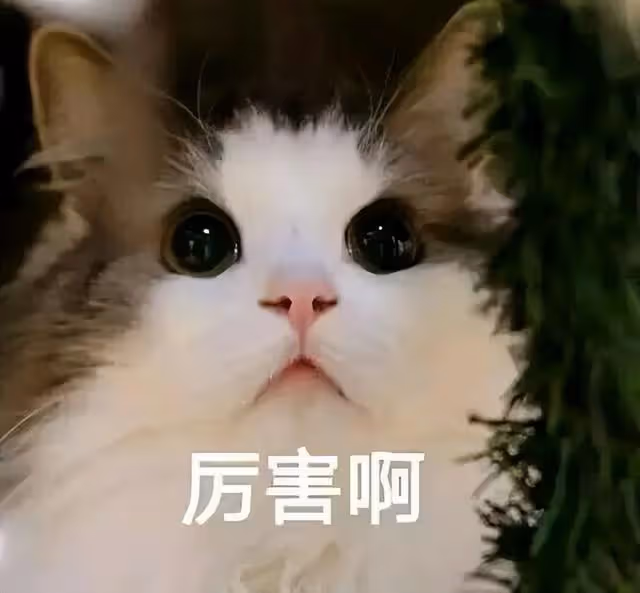 湯唯事業轉向韓國?秀韓語衝擊金棕櫚,韓國老公為討歡心豪擲13.5億