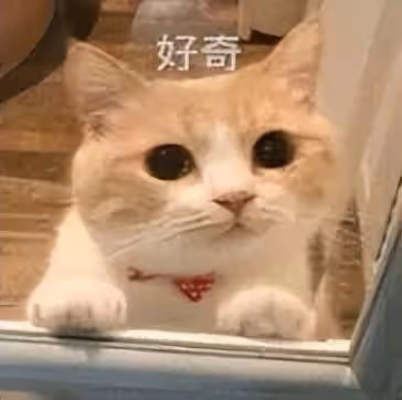 湯唯事業轉向韓國?秀韓語衝擊金棕櫚,韓國老公為討歡心豪擲13.5億