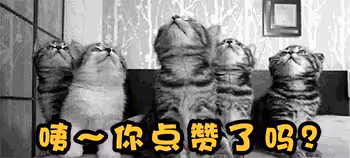 2個月狂賺150億,曾經火遍全球的他,現在為何會變成韓國之恥?
