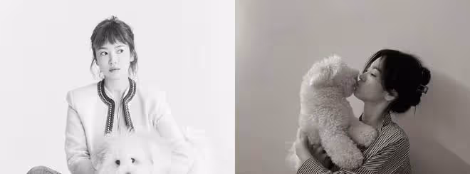 宋慧喬雙眼狂冒愛心素顏被拍!鐵粉警告:有人要吃醋了