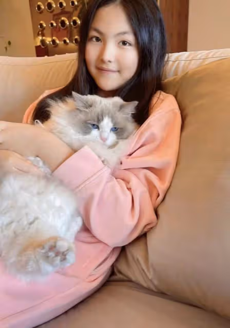 李湘上海隔離一月，用6萬元烤箱做硬菜，和王詩齡居豪宅生活精緻