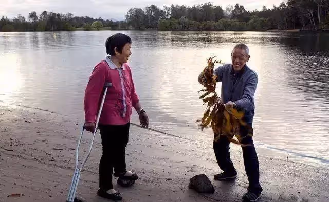 學霸兒將「重疾晚期」父親騙出國,踏上「最後的旅行」孝心惹贊,誰知88天後歸來,意外結局催人淚下