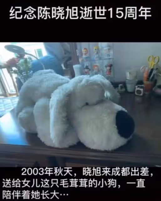 歐陽寶玉發文悼念陳曉旭,懷抱19年前舊物引淚目,憶生前相處細節