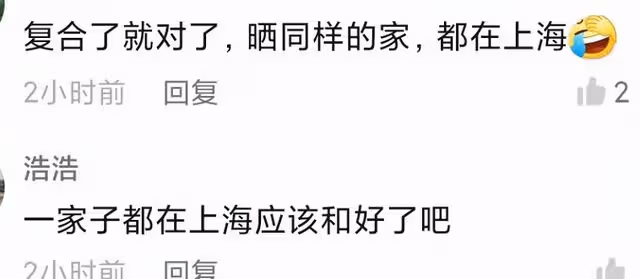 王岳倫李湘被疑復婚，同在上海隔離一個月，兩人同天發動態巧合多