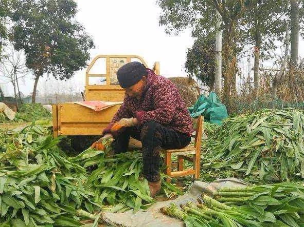 兒媳，我幫你帶孩子，每月只給兩千？媽，我月薪才三千！