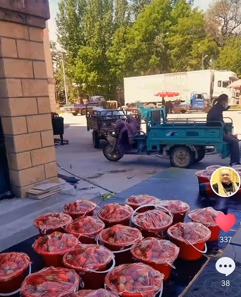 49歲謝寧轉行擺地攤賣草莓，身上衣服滿是污漬，懇求路人照顧生意