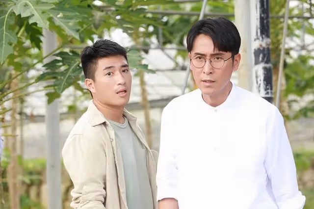 突發!TVB新劇開播後慘被高層縮減5集,隨時創最低收視記錄