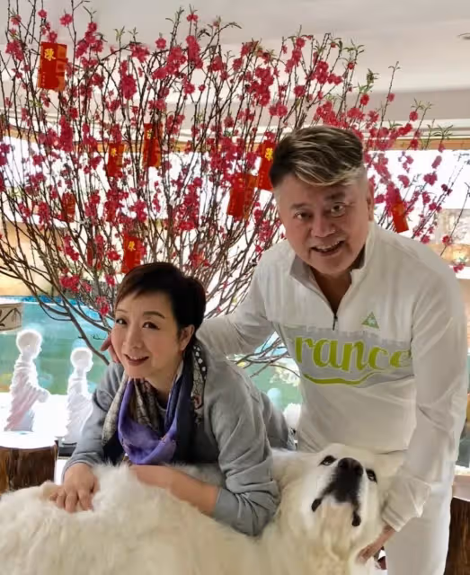 黃金配角陳百祥！破產4次「當紅古典美人妻」始終相伴不離　今結婚43年「對不孕老婆」寵愛如初