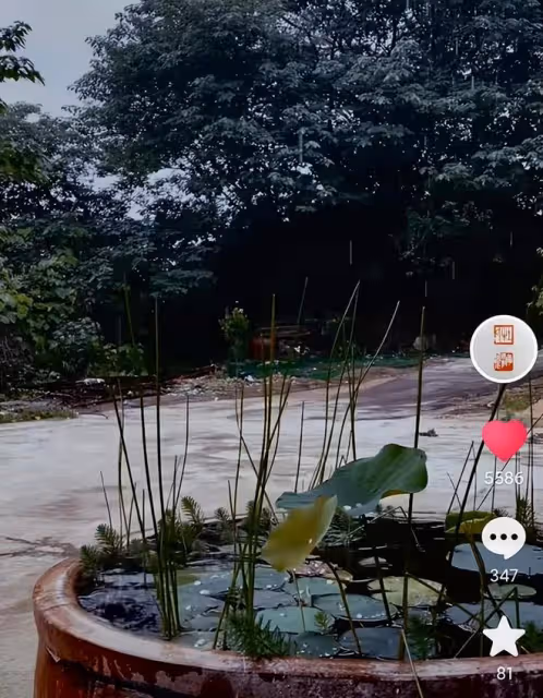 杜海濤暴瘦快認不出!現身農村鄉間學手藝,離開大本營過樸素生活