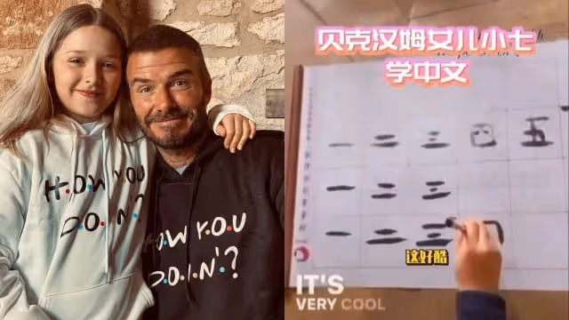 自稱是Harper生母　David Beckham遭狂粉指控「偷卵」