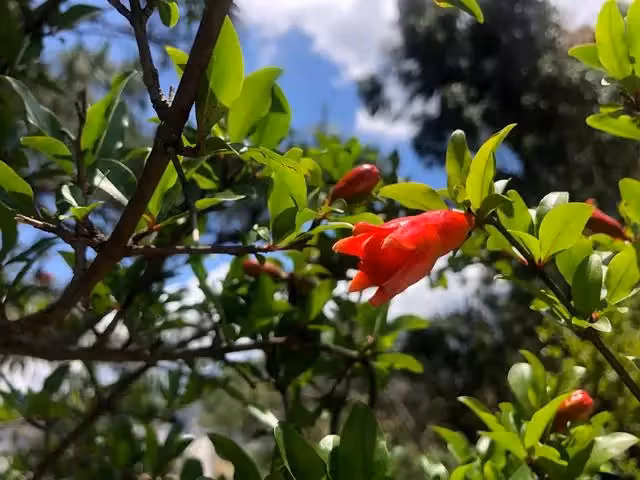 婆媳矛盾沒有贏家,哥嫂搬出了爸媽買的婚房,媽媽孤獨,哥哥無奈