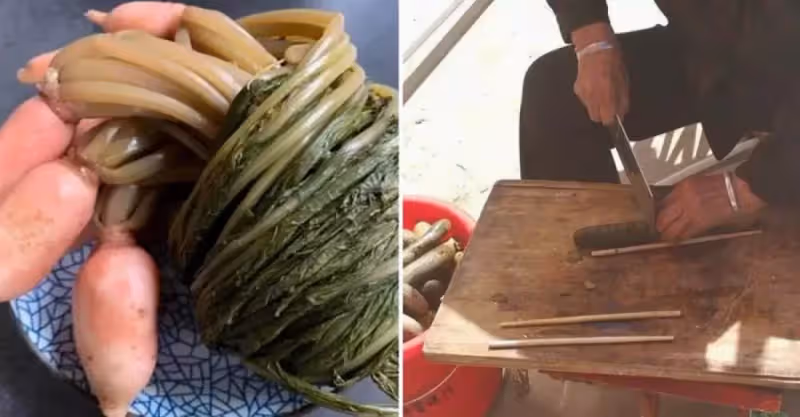 男子40元售老父自製醃菜，竟遭買家索賠4000，對方吃完狂喊：我要投訴你