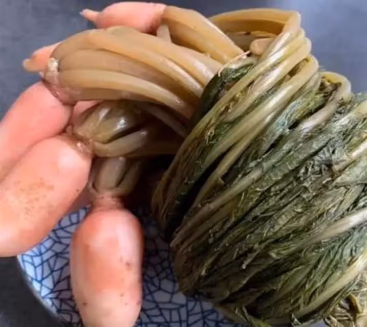 男子40元售老父自製醃菜,竟遭買家索賠4000,對方吃完狂喊:我要投訴你