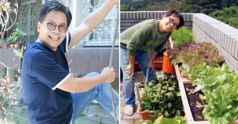 55歲許傑輝頂樓變菜園，自己種菜自己吃，當「城市農夫」20年：是一種修行