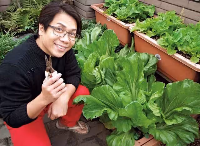 55歲許傑輝頂樓變菜園,自己種菜自己吃,當「城市農夫」20年:是一種修行
