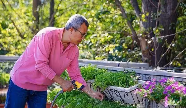 52歲大叔因買不起房,為愛妻用6貨櫃花120萬造67坪天然花園別墅,可住一家三口,走進空中花園如進仙境,還附盪鞦韆