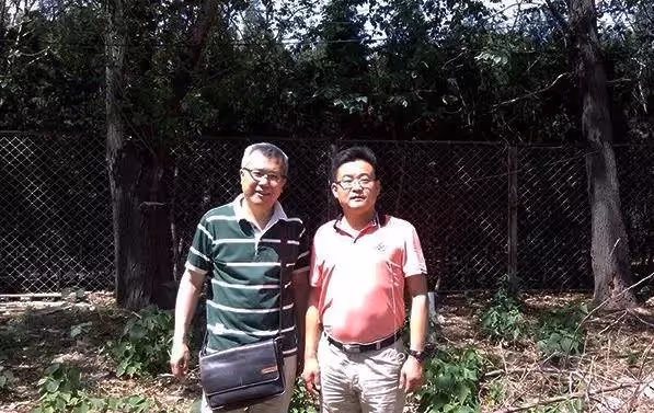 52歲大叔因買不起房,為愛妻用6貨櫃花120萬造67坪天然花園別墅,可住一家三口,走進空中花園如進仙境,還附盪鞦韆