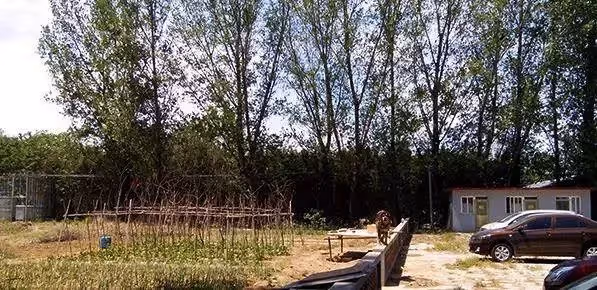52歲大叔因買不起房,為愛妻用6貨櫃花120萬造67坪天然花園別墅,可住一家三口,走進空中花園如進仙境,還附盪鞦韆