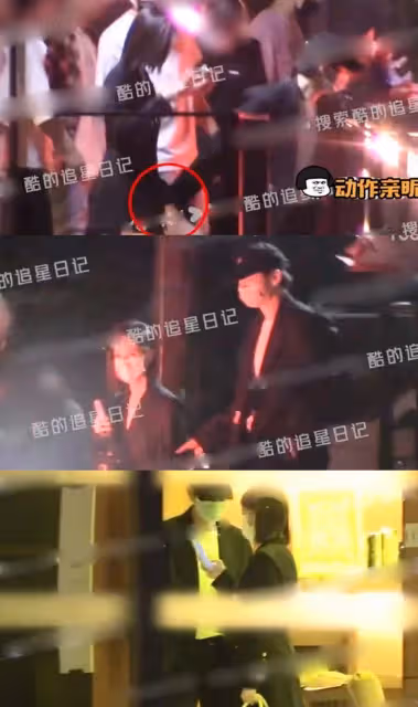 聚餐後同回酒店　李一桐、魏大勛爆戀情