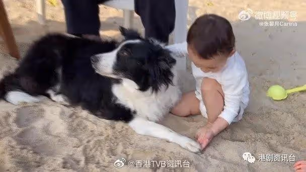 有女萬事足!林峯被「前世情人」一句話冧到暈
