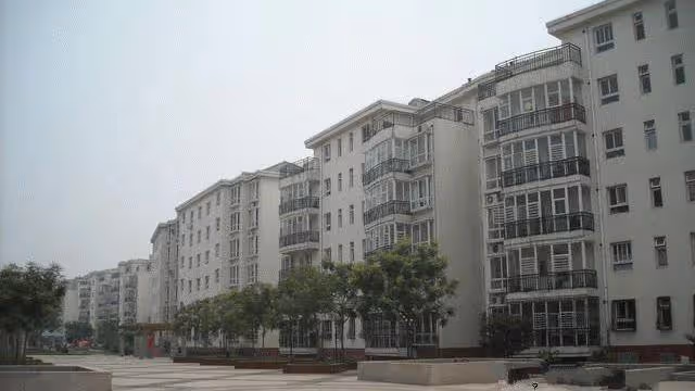 「兒媳，你一年給三萬，我也不幫你帶孩子」「你靠姑姐養老？」