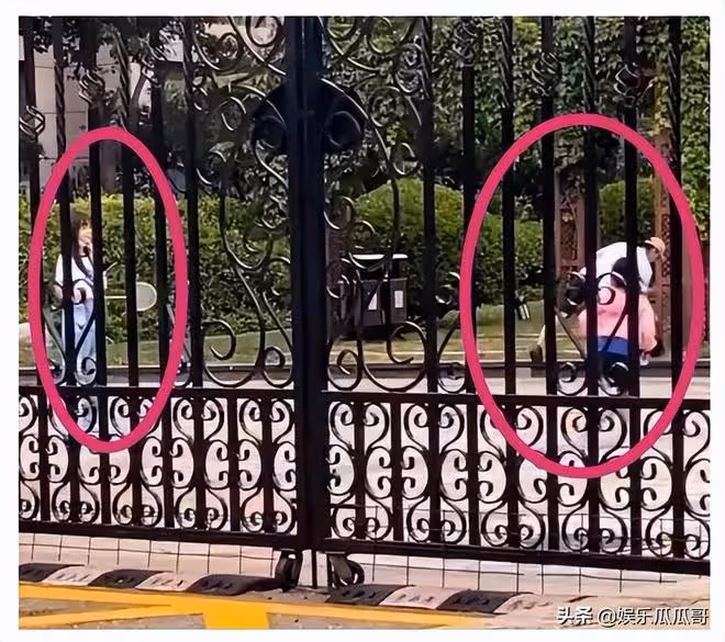 賈乃亮也陷入偷稅風波?工作室迅速闢謠,前妻李小璐復合意願很大